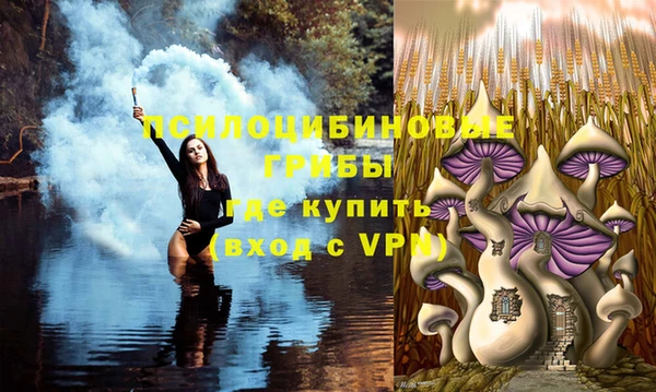 каннабис Дмитриев